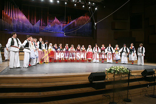 lisinskizeljeznicar (150)